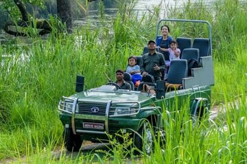 Jeep safari (4-5 hrs., Sharing) inside Chitwan National Park.