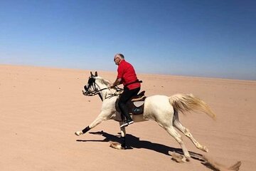 2 hours Horse Riding in Desert With Transfer - Sharm El Sheikh