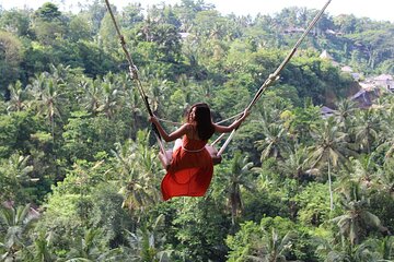 Private Tour : East Bali Highlights with Giant Swing 