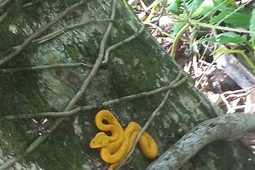 Tropical Hike in the Gandoca-Manzanillo wild life Refuge