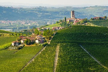 Private E-bike Tour " Langhe del Barbaresco " - Asphalt only