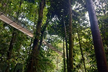 Hanging Bridges Walk in Costa Rica