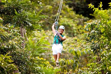 Canopy Countryside Private Day Trip Tour From Montego Bay