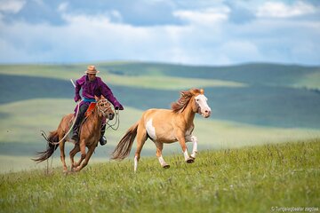 Essence of Mongolia 4 Days