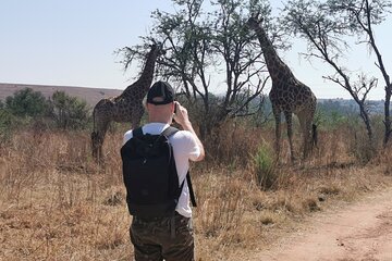 Hiking In the Magaliesberg,Wildlife hike an hour fromJohannesburg