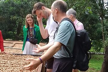 Coffee & Macadamia Fincas Tour 