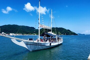 Full-Day Private Tour of Santos with Boat Tour and Viewpoints – Tickets Included