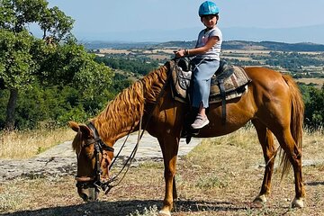 Visit a Farm and Horseback Riding in Nature 