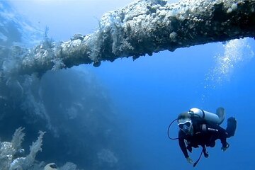Boat Dive 2 Guided Dives with Lunch Included wreck dive&reef dive