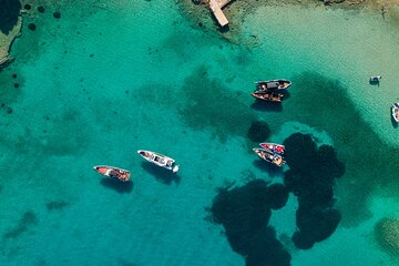  Full-Day Private Boat Tour Visiting Kea