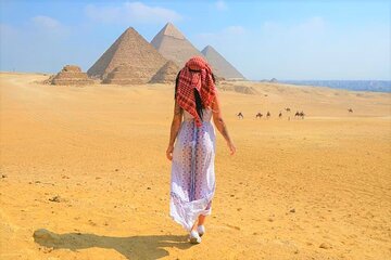 Cairo Stopover Tour the Giza Pyramids & National Museum With Airport Transfers 