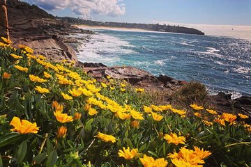 Nature, Culture and History, Immersive Guided Walk in North Head, Sydney