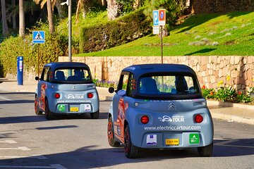 Visita el Castillo de Gibralfaro en coche eléctrico en Málaga