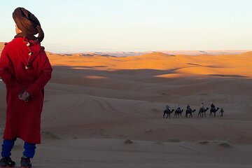 Camel ride 