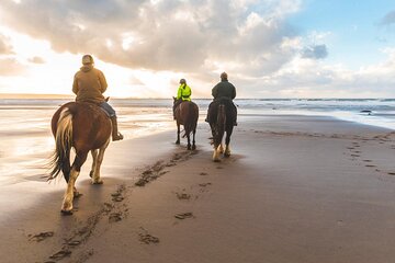 Horseback Ride Through Puerto Plata