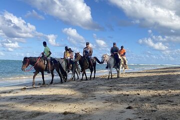 Horseback Ride Through Puerto Plata