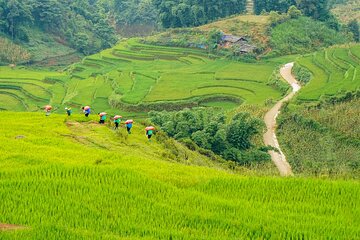 Sapa Trekking & Homestay 2 Days 1 Night