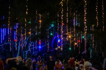 Flamingo Gardens' Garden of Lights