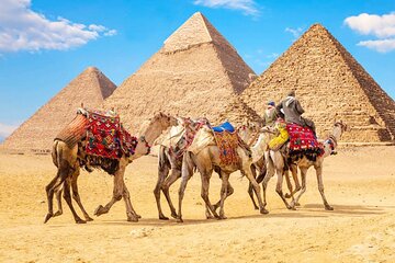 Pyramids of Giza And Cairo Tour By Bus from Sharm 