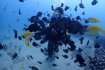 Private 6 Day Tour in South Taiwan