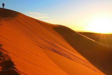 Dubai Desert Safari with Quad Biking & Dune Bashing BBQ Dinner