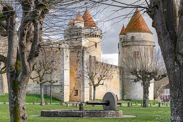 Middle Ages day-trip with 2 castles around Paris