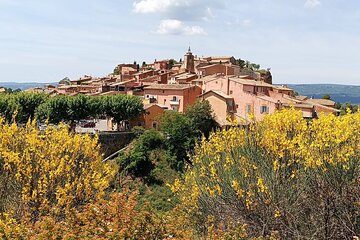 Private Tour Perched Villages of Luberon & (LAVENDER JUNE/JULY)