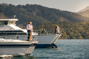 Marlborough Sounds Cruise from Picton with Seafood