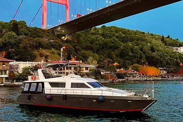 Bosphorus Private 1-Hour Tour on the Boat in Istanbul