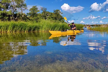 1-Day Small-Group Stockholm Archipelago Kayak Tour