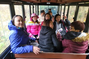 Full-Day Private Jumbo taxi Tour - East of Jeju Island (UNESCO)