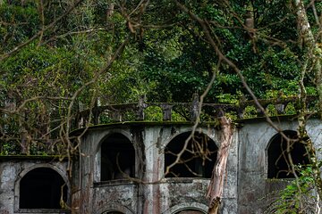 Full-Day Cloudforest Boquete Photography Guided Workshop Tour