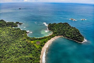 Private Manuel Antonio National Park Guided Walk