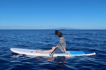 Private Paddleboard (SUP) Whale Watch - All Skill Levels Welcome