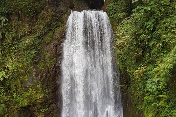 El Tigre Waterfalls Hiking Tour with Lunch and Nature Guide 