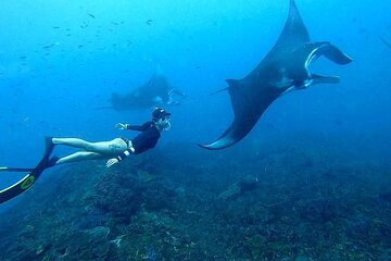 Snorkeling In Nusa Penida And Uluwatu Sunset Tours