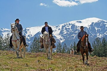 Horse riding experience from Bansko