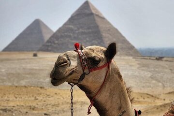 Day tour to Giza Pyramids, Memphis and Sakkara