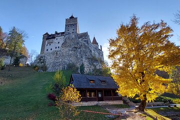 Exclusive Tour: Bran Castle, Brasov and Rasnov fortress from Sibiu