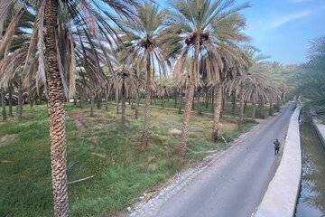 3 Hour Private Tour in Birkat Al Mouz 