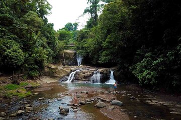  Cahuita National Park Hike & Waterfall Experience