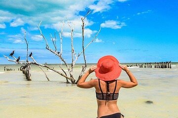 Incredible Holbox Island Tour Punta Mosquito only from Tulum