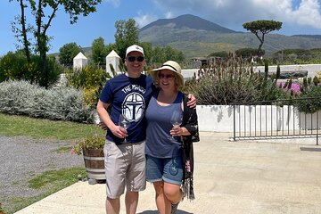 Private Full Day Tour Ruins of Pompei and Wine Tasting Experience