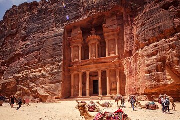 Petra One Day Tour From Aqaba / Aqaba Port ( Cruise Ship)