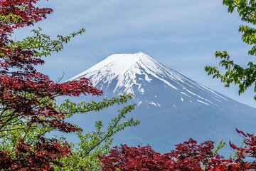 Private 7-Day Japan Classic Tour 