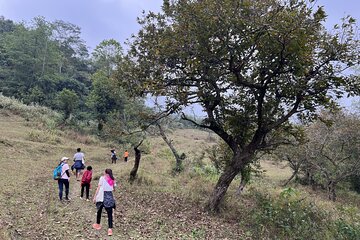 Cao Bang Easy Trekking Tours 2Days/1Night Ban Gioc Waterfall ET1