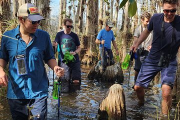 Full Day Everglades: Biologist Led WET walk + 2 boat trips + lunch small group