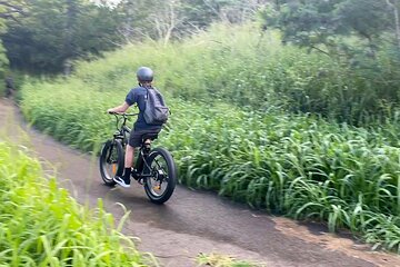 West Maui: Self-Guided E-Bike Kapalua Jungle Adventure Tour