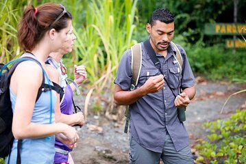 Tour Privado de Aventura no Parque Natural do Corcovado