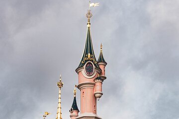 Private Shuttle Disney 